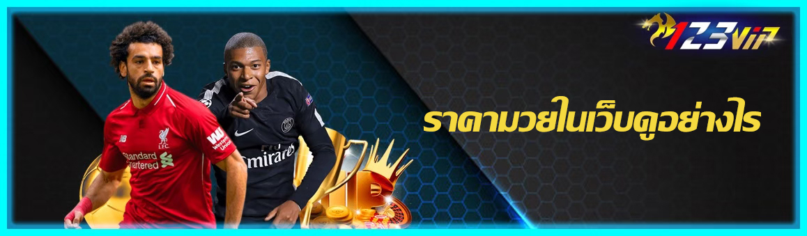 ราคามวยในเว็บดูอย่างไร