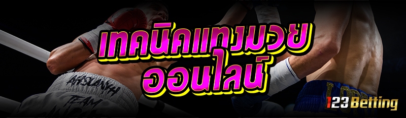 เทคนิคแทงมวยออนไลน์ 